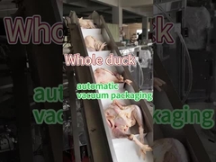 Verpakkingsmachine voor vlees en diepvriesvoedsel van roestvrij staal van levensmiddelenkwaliteit 304/316